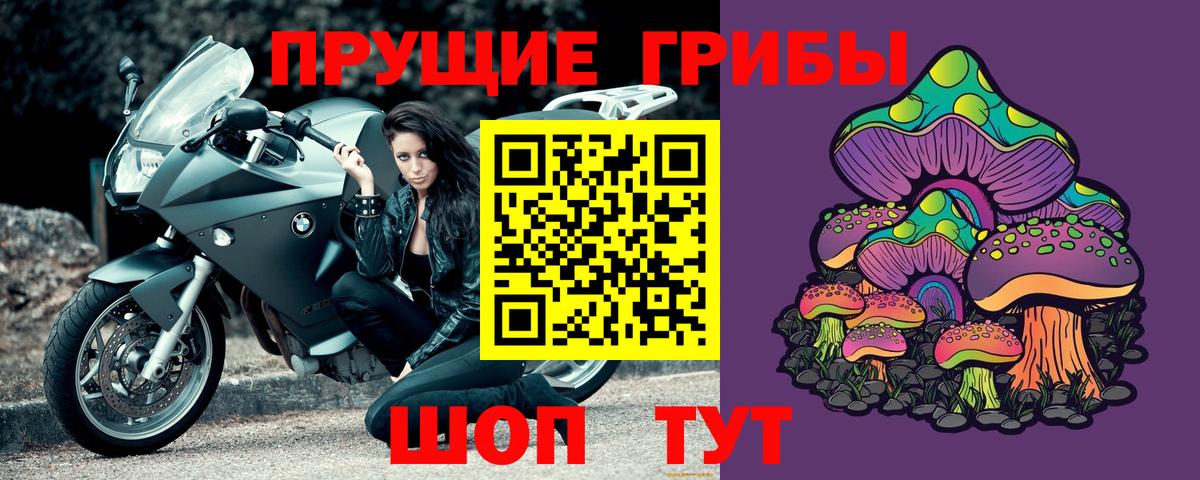 Галлюциногенные грибы Psilocybine cubensis  Псилоцибиновые грибы Cubensis  Вход с VPN  Татарск 